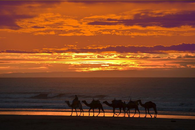 3 hours ride on camel at sunset - Diabat village and the old sultan’s ruins