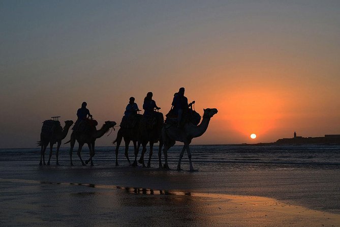 3 hours ride on camel at sunset - The return ride and Essaouira sunset