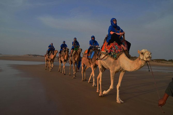 3 hours ride on camel at sunset - Getting settled on your dromedary