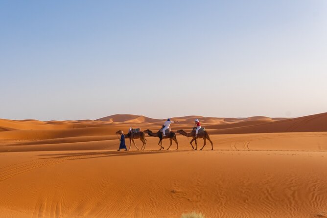 4 Day Authentic Desert Tour From Fes To Marrakech - From Fes to the cedar forests of Azrou