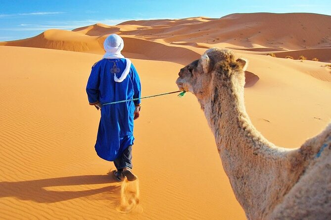 4 Day Desert tour from Marrakech to Fez - Why this route works for a first Morocco trip