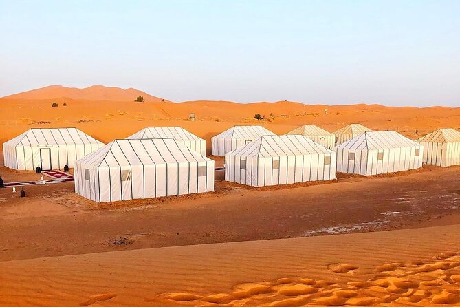 4 Day Desert tour from Marrakech to Fez - Day 4: From Rissani to Fez through the Middle Atlas