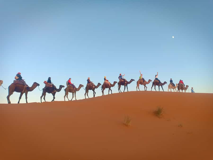 4-Day Marrakech to Merzouga Sahara Adventure & Camel Trek - How to prepare for four demanding days