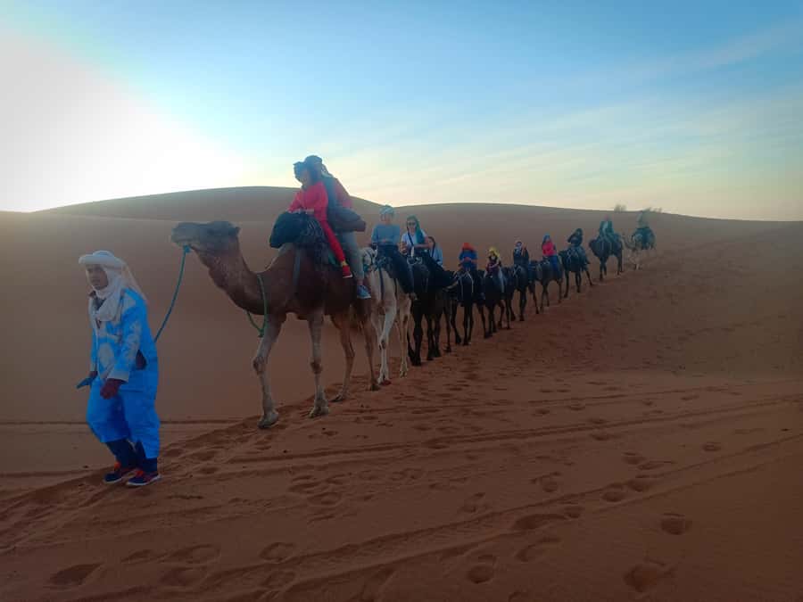 4-Day Marrakech to Merzouga Sahara Adventure & Camel Trek - Todra Gorge, palm shade, and Berber culture