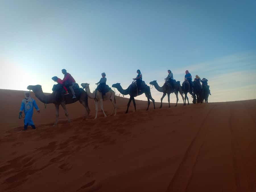 4-Day Marrakech to Merzouga Sahara Adventure & Camel Trek - The camel trek into Erg Chebbi