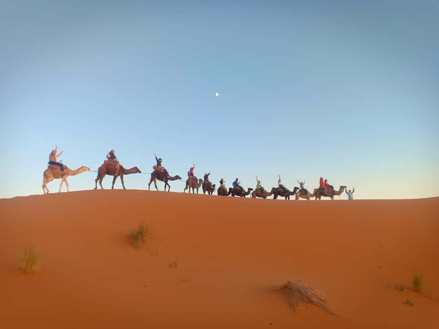 4-Day Marrakech to Merzouga Sahara Adventure & Camel Trek - What $143 includes, and what it does not