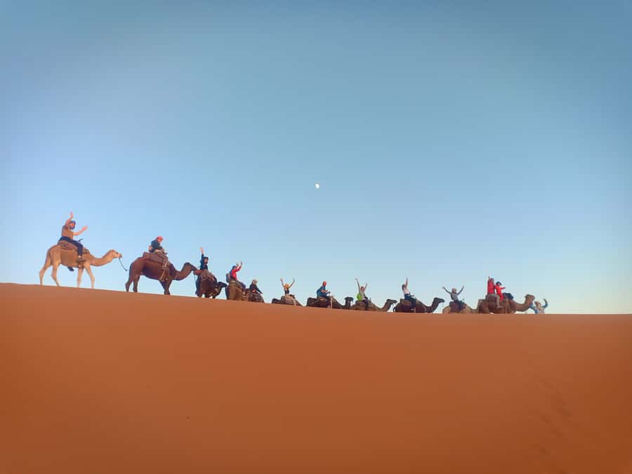 4-Day Marrakech to Merzouga Sahara Adventure & Camel Trek - Drivers, guides, and the small-group experience