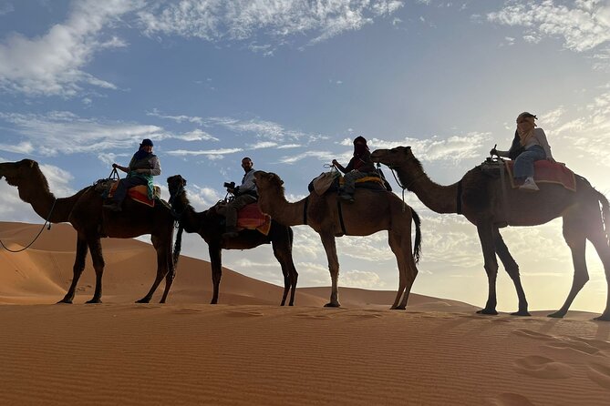4-Days Adventures from Marrakech to Fez via Gorges & Desert - Guides, vehicles, and group size