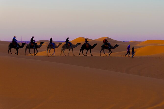 4 Days Desert Safari Tour from Marrakech to Merzouga - Roses, red rock, and the Dades Valley