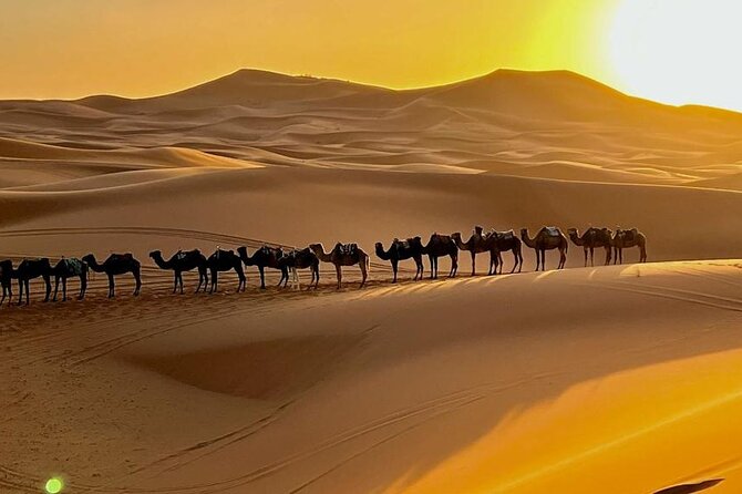 4 Days Desert Tour From Marrakech to Fes via Merzouga Dunes - Day 2: From Todra Gorge to the Erg Chebbi dunes