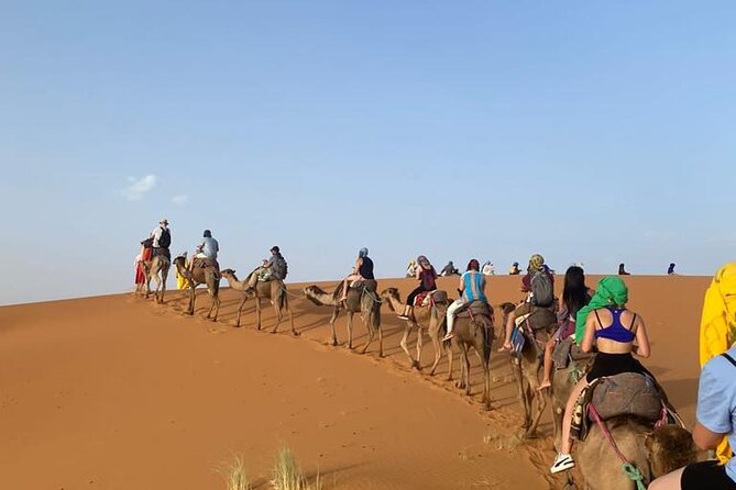 4 Days Desert Tour From Marrakech to Fes via Merzouga Dunes - Who will get the most from this tour