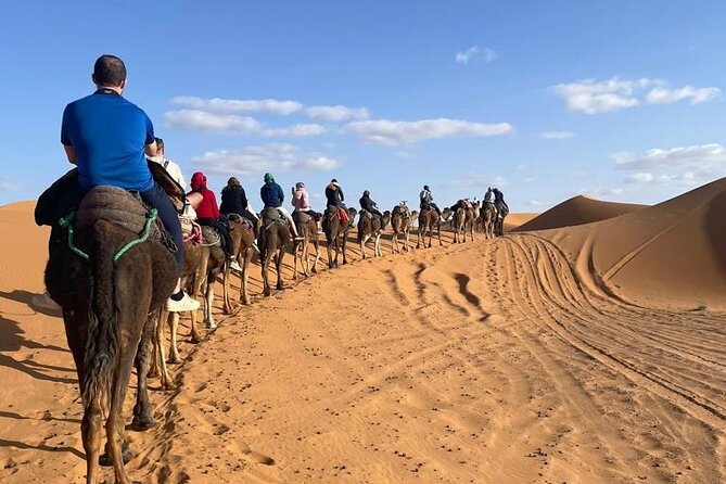 4 Days Desert Tour From Marrakech to Fes via Merzouga Dunes - Day 4: The Ziz Valley, cedar forest, and arrival in Fes