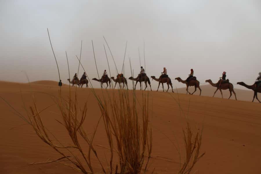 4 days Sahara Desert Tour From Marrakech To Merzouga dunes - Why Four Days Works Better Than a Fast Desert Dash
