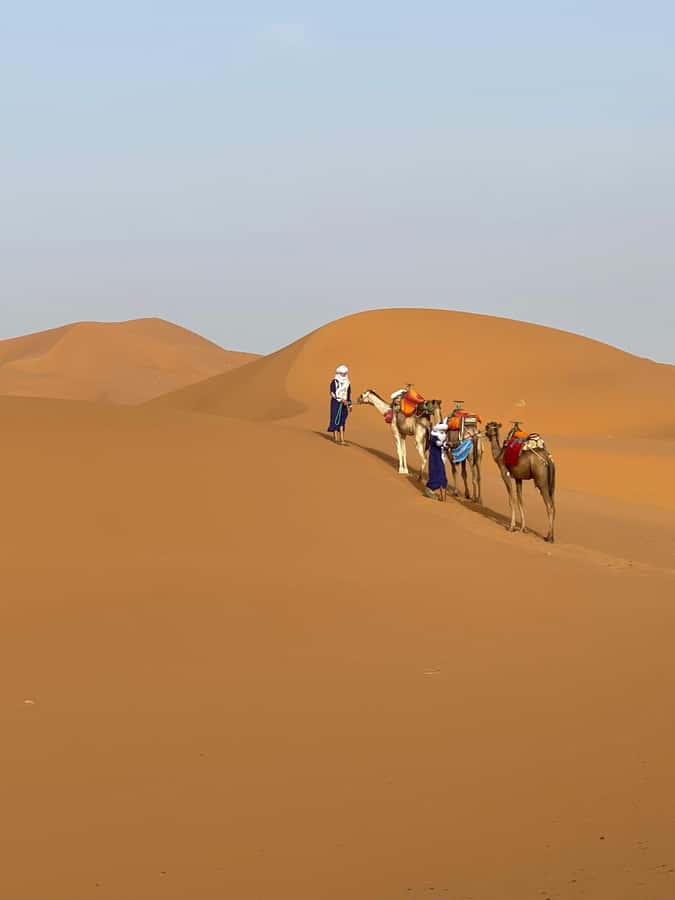 4 days Sahara Desert Tour From Marrakech To Merzouga dunes - Day Three: Sunrise, Return Camels, and Monkey Fingers