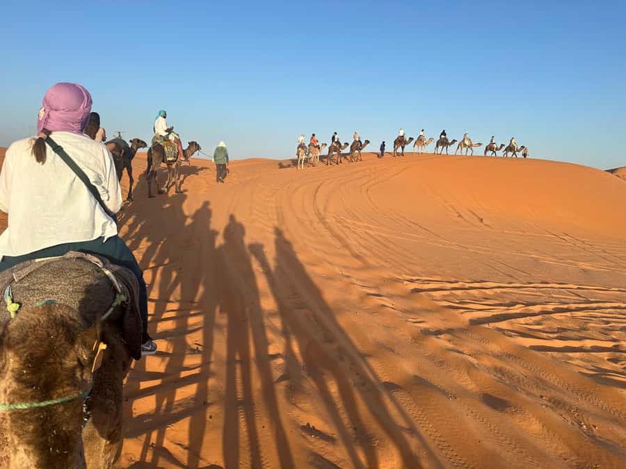 4 days Sahara Desert Tour From Marrakech To Merzouga dunes - Day Two: Todra Gorge and the Ride into Erg Chebbi