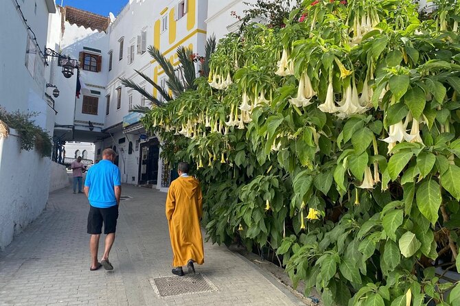 4 hour private Tour of Tangier - Moshe Nahon Synagogue shows Tangier’s Jewish heritage