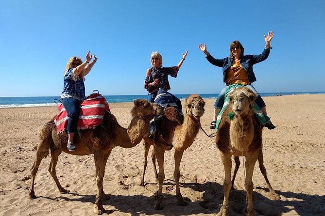 4 Hour Tangier City Private Tour - The Kasbah Museum of Mediterranean Cultures