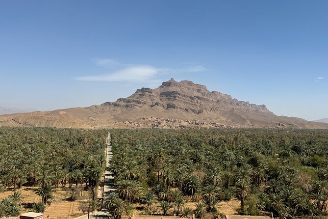 5-Day Private Tour to Sahara and ErgChebbi from Marrakech - Marrakech begins with tea, alleys, and Jemaa el-Fna