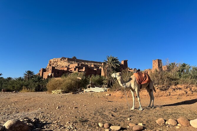 5-Day Private Tour to Sahara and ErgChebbi from Marrakech - Taourirt Kasbah and the climb back through the Atlas