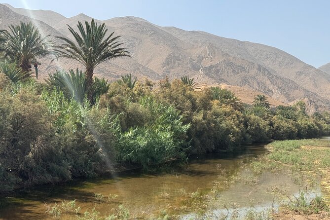 5-Day Private Tour to Sahara and ErgChebbi from Marrakech - Dades Valley, Todra Gorge, and the road to Merzouga
