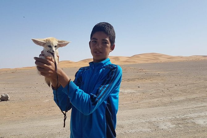 7-days: Casablanca to Chefchaouen then Fes and Sahara Desert - Camel Trekking - From the dunes to Todra Gorge and Boumalne Dades