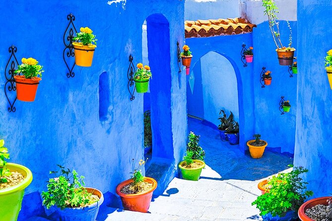 7 Days Luxury Desert Tour From Casablanca to Marrakech via fez -Camel trekking - Day 6: Marrakech’s palaces, gardens, and souks