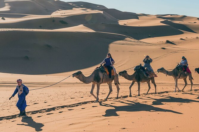 7 Days Luxury Desert Tour From Casablanca to Marrakech via fez -Camel trekking - Day 7: Airport transfer and the Casablanca question