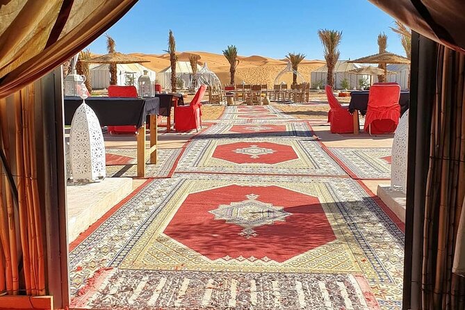 7 days Tour from Tangier to Marrakech Morocco Tours - Day 5: Rissani, Todra Gorge, and the Dades Valley