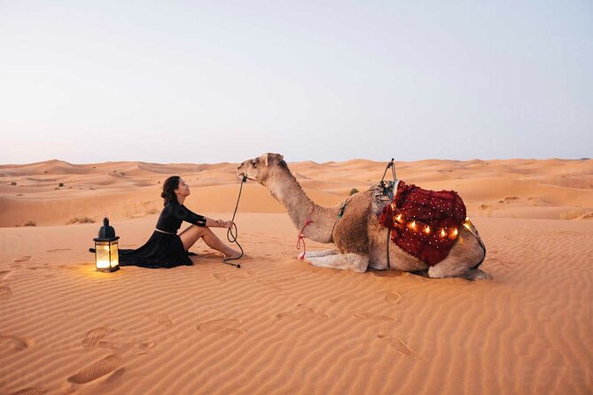 8 Days 7 Nights private tour Marrakech-Sahara Desert-Chefchaouen - A big Morocco route in eight days