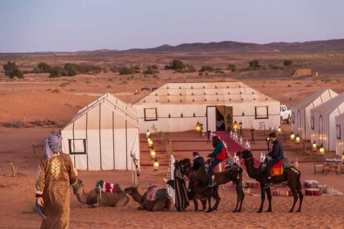 8 Days Morocco Private Tour; Imperial Cities and the Desert - Fez, Morocco’s most rewarding walking day