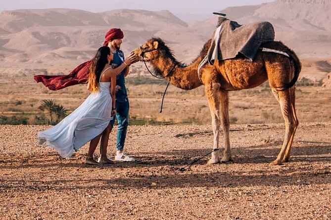 8D Morocco Luxury Private Tour From Casablanca By Imperial Cities - Day 4: Cedar forests, the Ziz Valley, and the Sahara