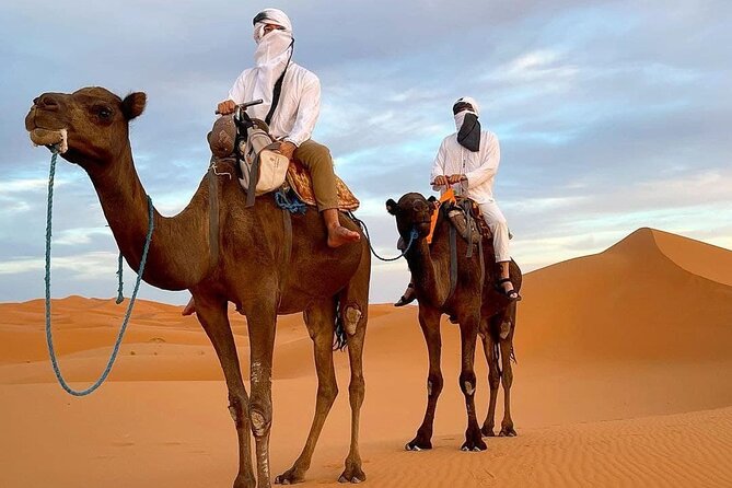 8D Morocco Luxury Private Tour From Casablanca By Imperial Cities - Day 2: Chefchaouen, Volubilis, and Meknes
