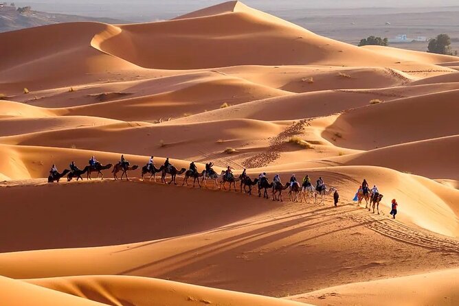 9 Days tour from casablanca to the desert via chefchauen , fez - Day 6: Fossils, Todra Gorge, and Dades Valley