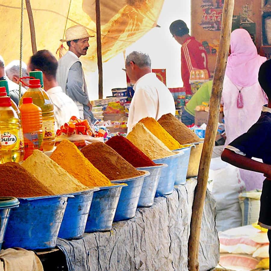 A Day With The Berbers - 3 Valleys Day Trip from Marrakech - The camel ride at Moulay Ibrahim River