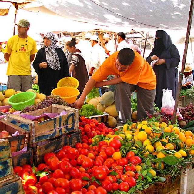 A Day With The Berbers - 3 Valleys Day Trip from Marrakech - Group size, comfort, and the real value