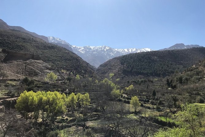 A Journey to Ourika Valley & Waterfall - The people who make the day work