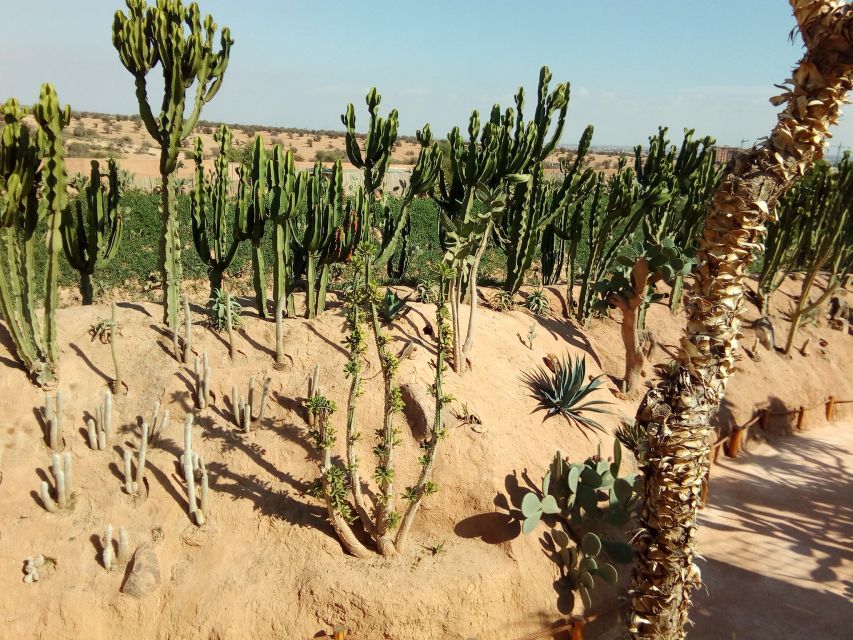 Agadir: Agadir Crocodile Park Adventure - Adding the five-hour Agadir city tour