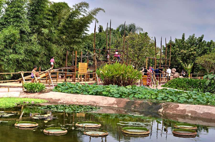 Agadir: Agadir Crocodile Park Adventure - Entering through the giant crocodile head