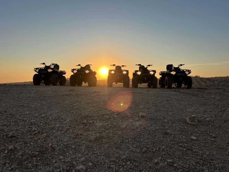 Agadir: Agafay Desert Quad Biking With Goats On The Tree - The famous goats in the argan trees