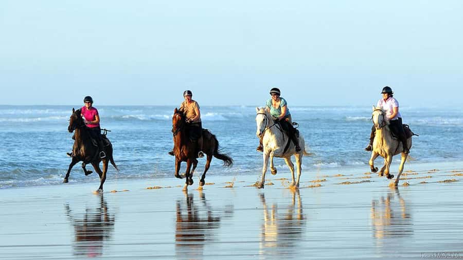 Agadir and Taghazout: 2-Hour Horseback Ride on the Beach - Key points to know before booking
