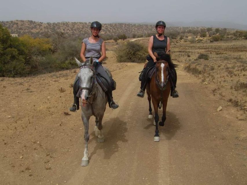 Agadir and Taghazout: 2-Hour Horseback Ride on the Beach - Is $176 per person good value?