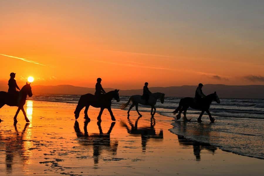 Agadir and Taghazout: 2-Hour Horseback Ride on the Beach - Why this beach ride feels special