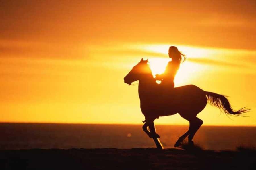 Agadir and Taghazout: 2-Hour Horseback Ride on the Beach - Choosing a horse and meeting the guides