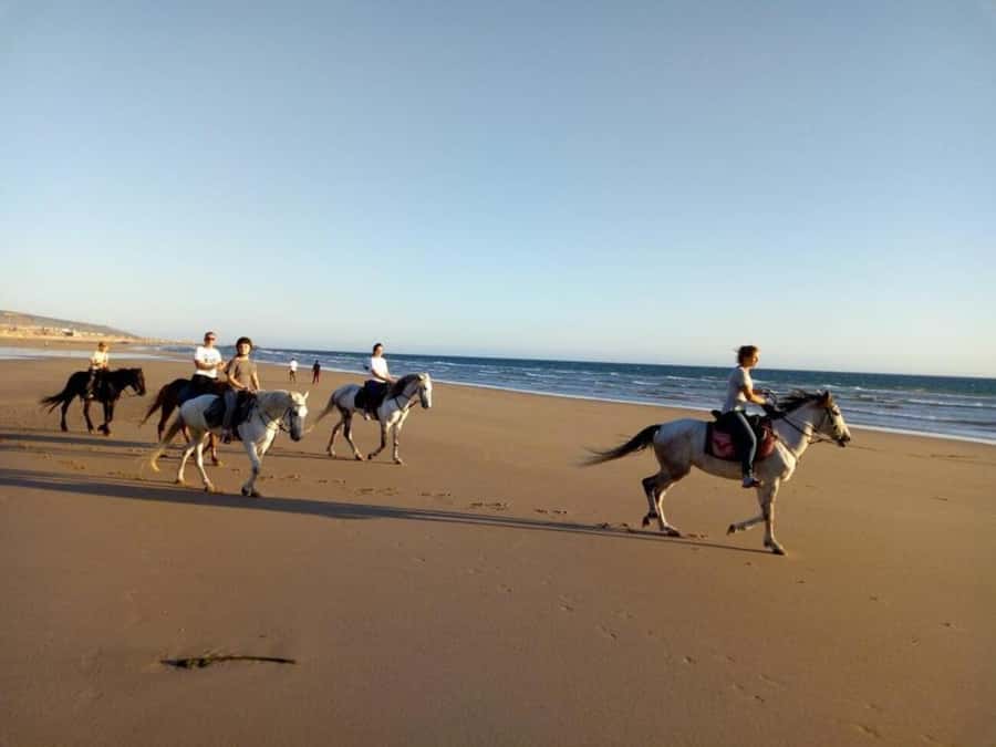 Agadir and Taghazout: 2-Hour Horseback Ride on the Beach - How suitable is it for beginners?