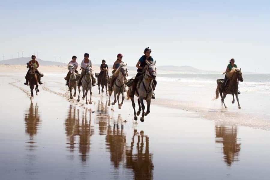 Agadir and Taghazout: 2-Hour Horseback Ride on the Beach - What experienced riders can expect