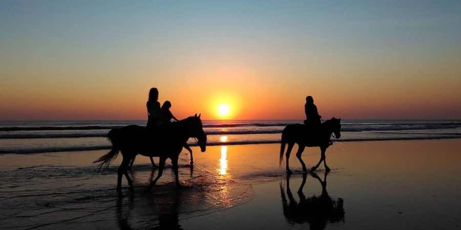 Agadir and Taghazout: 2-Hour Horseback Ride on the Beach - The group size and overall pace