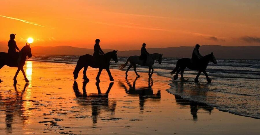Agadir and Taghazout: Morning Horse Ride on The Beach - Guides Hassan, Mustafa, and the human touch