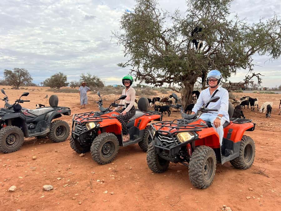 Agadir: ATV Quad Biking and Goats On Argan Trees with Tea - Two hours on a quad through the Atlas foothills