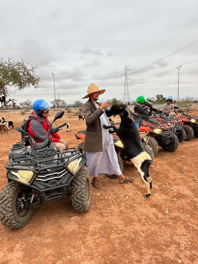 Agadir: ATV Quad Biking and Goats On Argan Trees with Tea - FAQ
