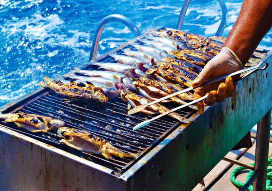 Agadir: Boat Trip with Fishing, Swimming, and BBQ Lunch - Should you book this boat trip?